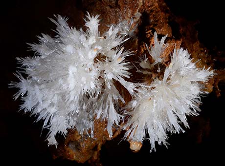 L'aragonite