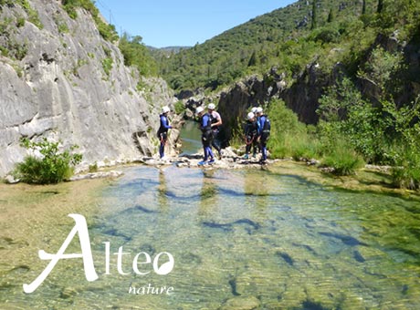 Pass Alteo