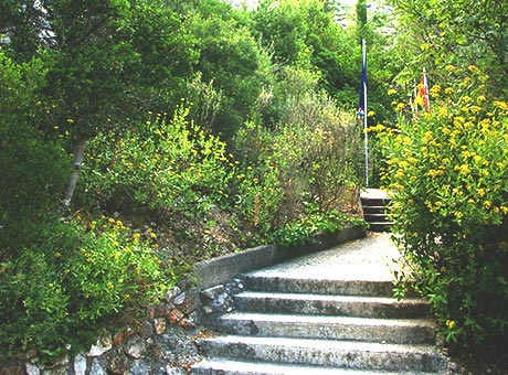 Sentier botanique