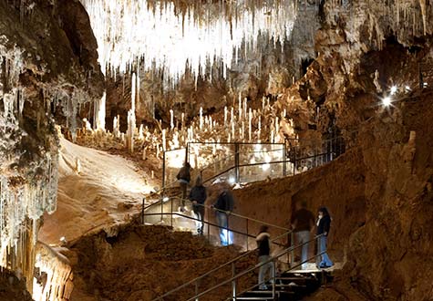 Grotte de Clamouse - La visite guidée