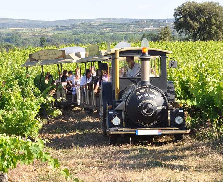 Clamouse activites petit train
