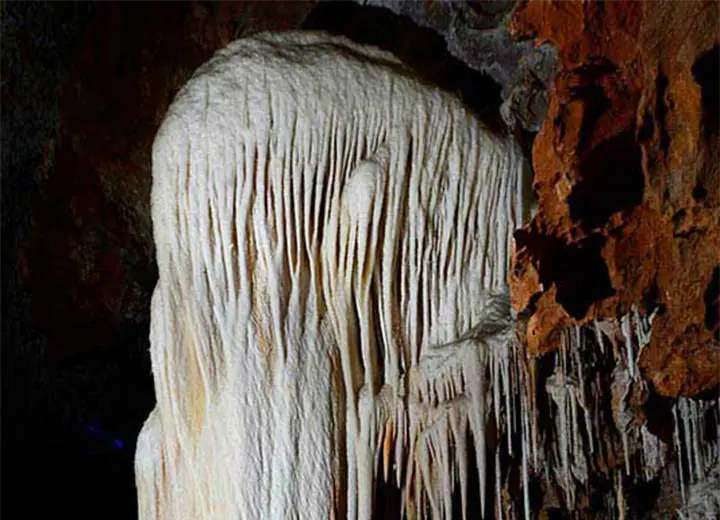 Clamouse photo meduse 01